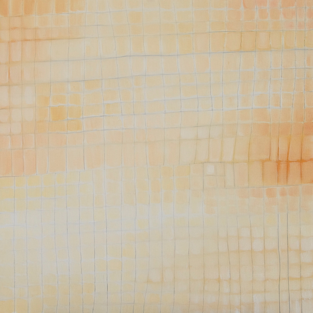 DesertGrid24x24-2011