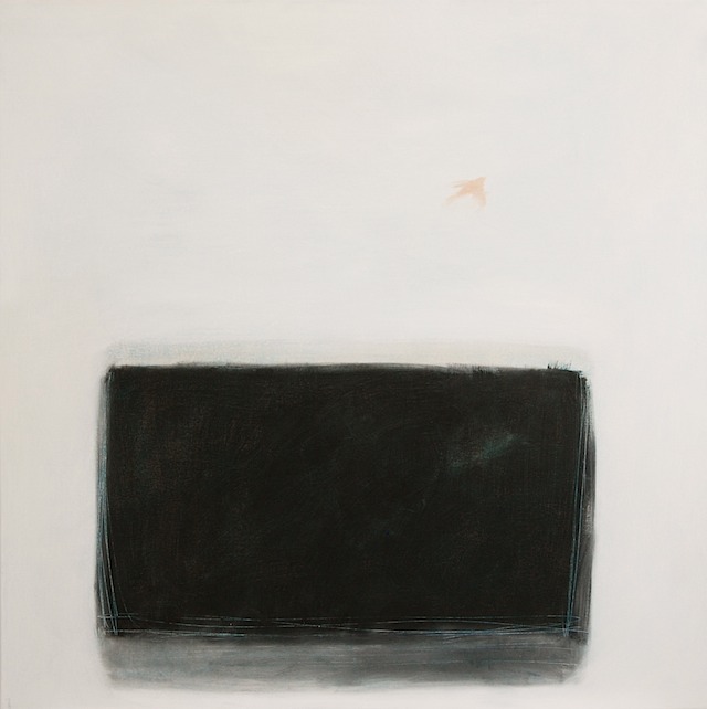 ApricotDove36x36-2013