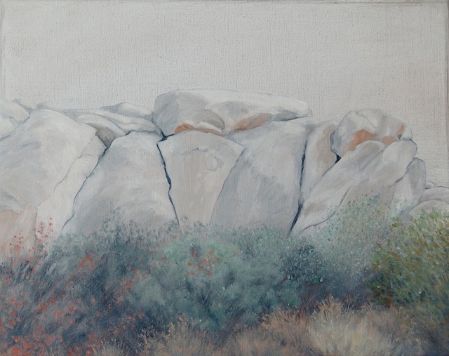 NorthSideOfaBoulderRidgeJTNP16x20-linen2010