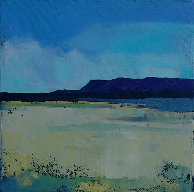 BlueMesa8x8-2010