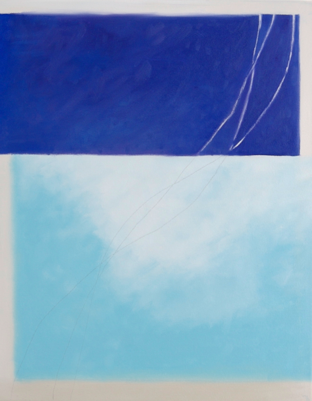 IndigoShade20x16-2010