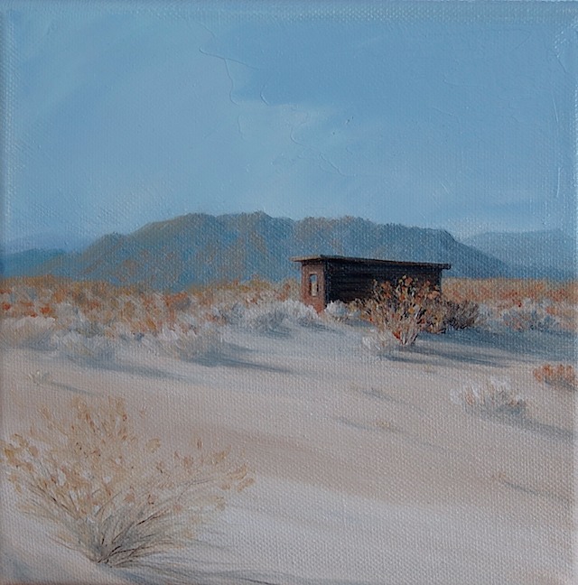 MojaveCabin8x8-2010